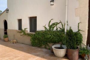 Alojamiento rural en Alfafara- mascotas