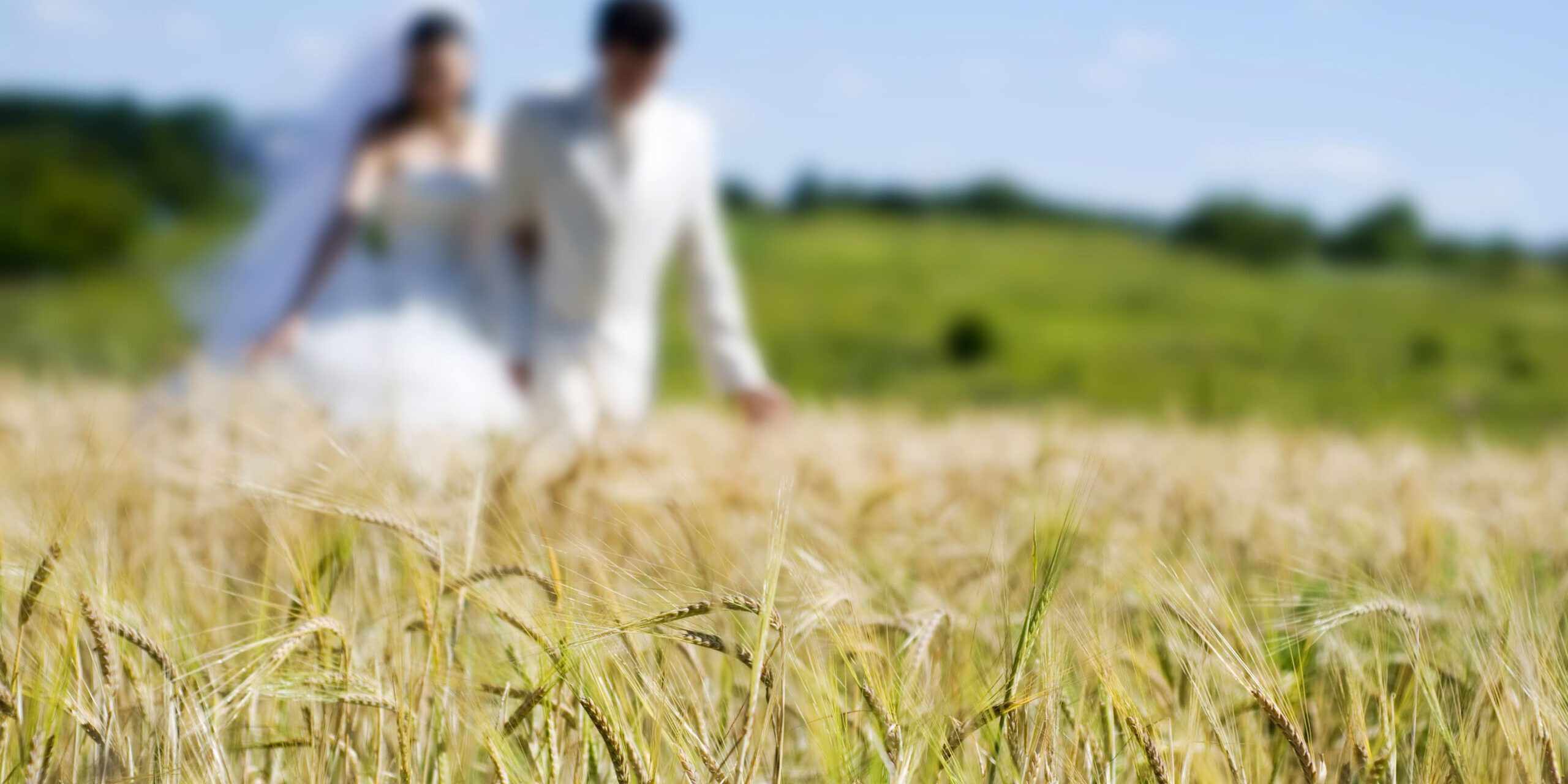 alojamiento rural para bodas en alfafara - novios en el campo