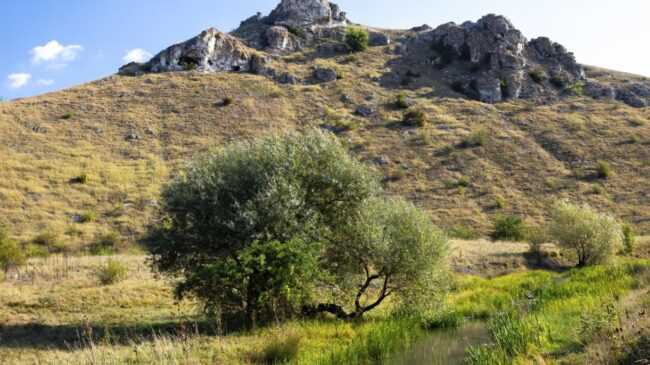 alojamiento rural cerca de Valencia-sierra